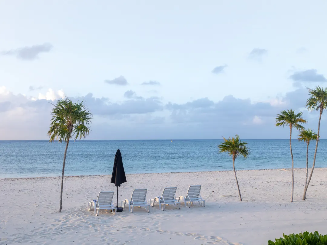 View of the Cozumel coast with clear skies, turquoise sea and sun loungers among the palm trees
