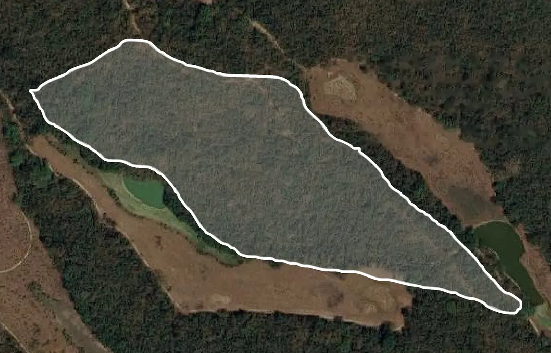 Vista satelital del lote D2 con su polígono de 3.23 hectáreas delimitado dentro del Cozumel Country Club