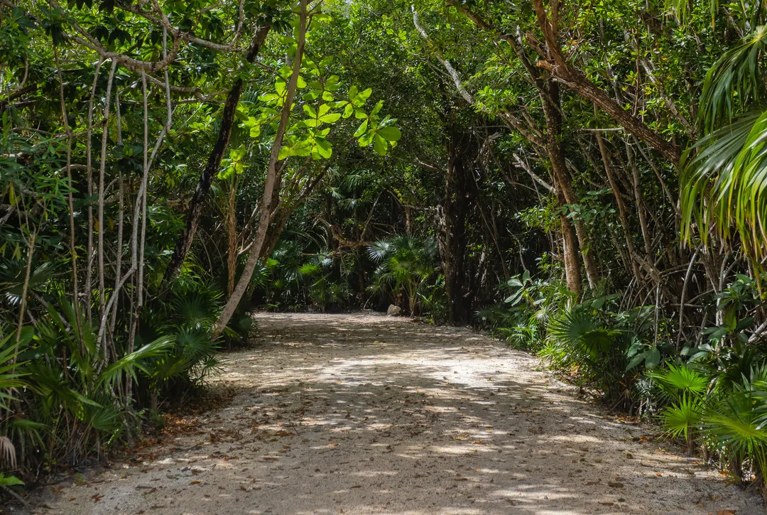 El circuito de terracería para correr y andar en bicicleta de montaña dentro del conjunto