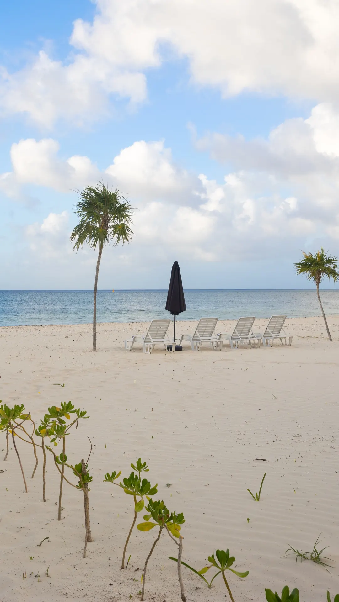 Playa de Cozumel al amanecer